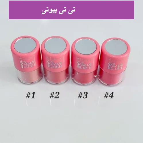 رژگونه نمکدونی پد دار آیینه دار ریبیا بیوتی